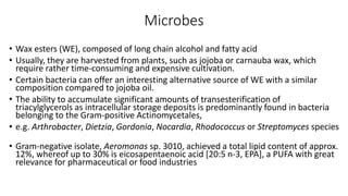 Streptomyces: การเพาะเลี้ยงที่แปลกประหลาดและการนำไปใช้ในอุตสาหกรรมยา!